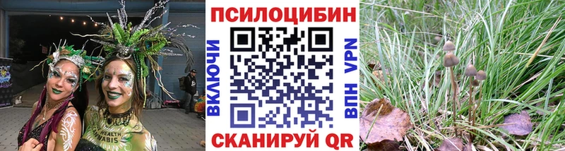 Псилоцибиновые грибы мицелий  купить наркотики сайты  Шатура 