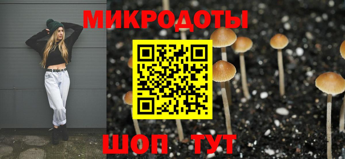 Псилоцибиновые грибы Magic Shrooms Шатура