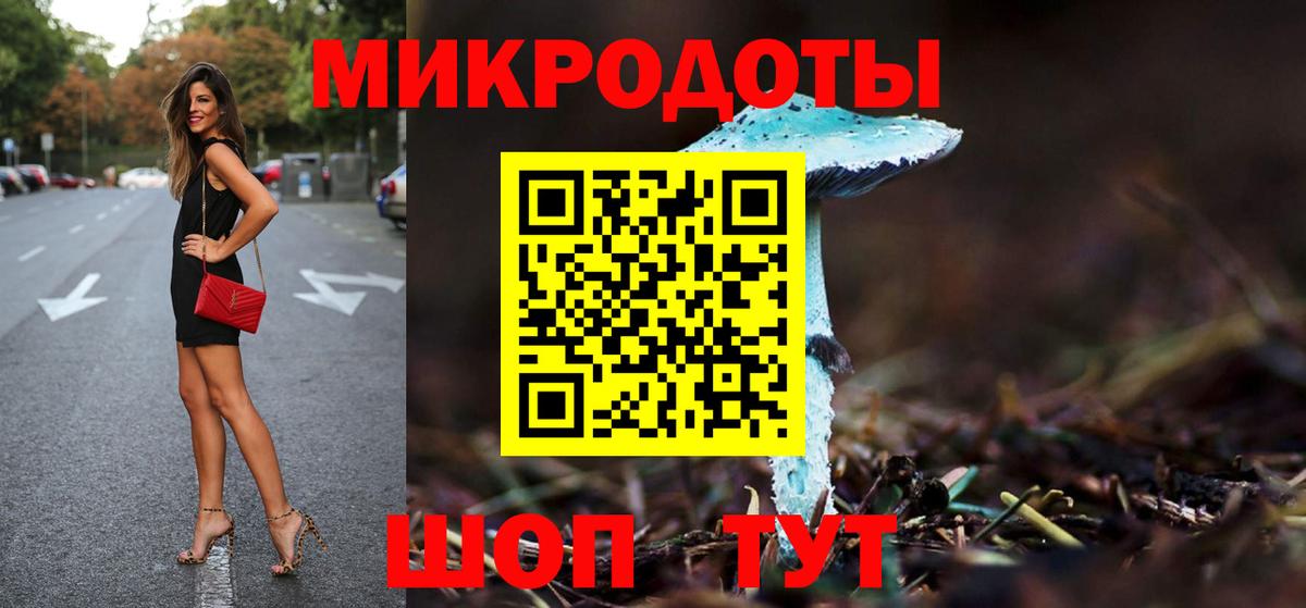 Галлюциногенные грибы Psilocybine cubensis Шатура